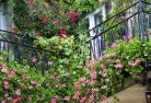 Midway Pointrooftop-and-balcony-gardens-17.jpg; ?>